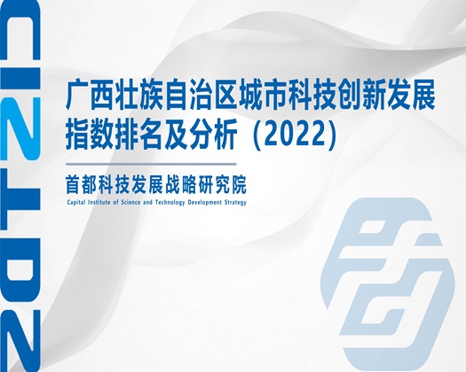 肏屄干淫屄视频【成果发布】广西壮族自治区城市科技创新发展指数排名及分析（2022）